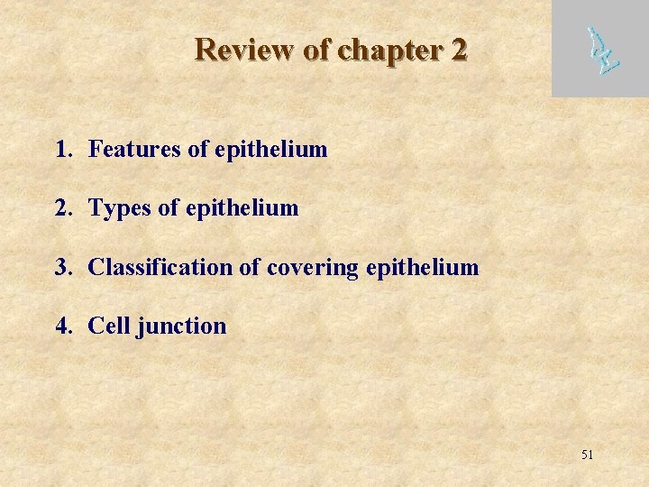 Review of chapter 2 1. Features of epithelium 2. Types of epithelium 3. Classification