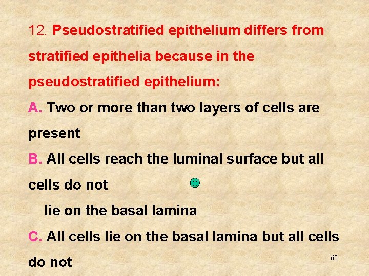 12. Pseudostratified epithelium differs from stratified epithelia because in the pseudostratified epithelium: A. Two