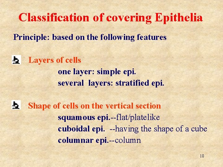 Classification of covering Epithelia Principle: based on the following features o Layers of cells