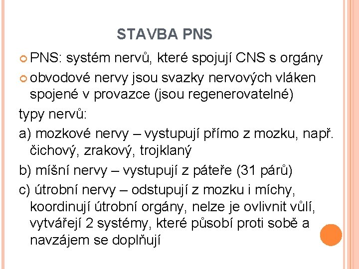 STAVBA PNS: systém nervů, které spojují CNS s orgány obvodové nervy jsou svazky nervových