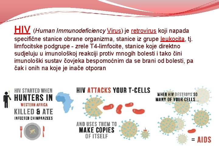 HIV (Human Immunodeficiency Virus) je retrovirus koji napada specifične stanice obrane organizma, stanice iz HIV (Human Immunodeficiency Virus) je retrovirus koji napada specifične stanice obrane organizma, stanice iz