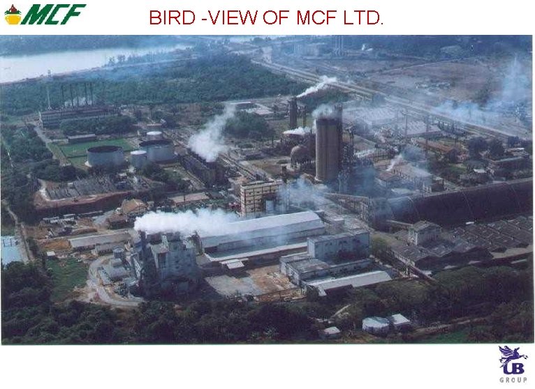 BIRD -VIEW OF MCF LTD. BIRD -VIEW OF MCF LTD.