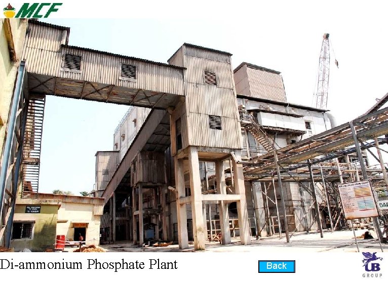 Di-ammonium Phosphate Plant Back Di-ammonium Phosphate Plant Back