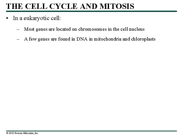 THE CELL CYCLE AND MITOSIS • In a eukaryotic cell: – Most genes are