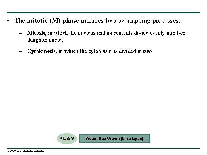  • The mitotic (M) phase includes two overlapping processes: – Mitosis, in which