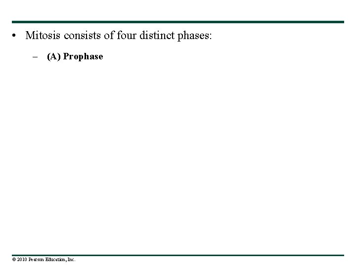  • Mitosis consists of four distinct phases: – (A) Prophase © 2010 Pearson