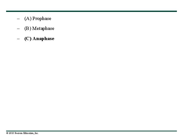 – (A) Prophase – (B) Metaphase – (C) Anaphase © 2010 Pearson Education, Inc.