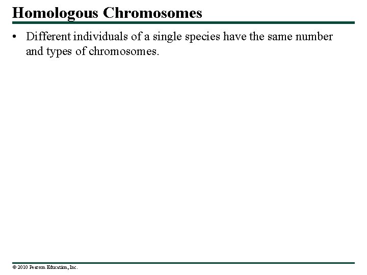 Homologous Chromosomes • Different individuals of a single species have the same number and