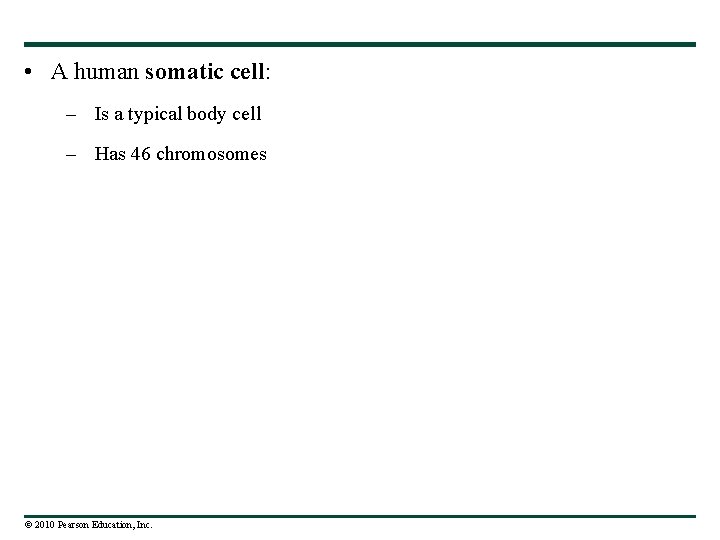  • A human somatic cell: – Is a typical body cell – Has