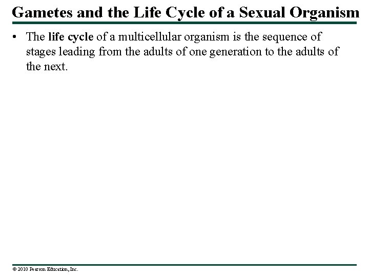 Gametes and the Life Cycle of a Sexual Organism • The life cycle of