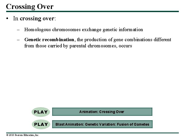 Crossing Over • In crossing over: – Homologous chromosomes exchange genetic information – Genetic