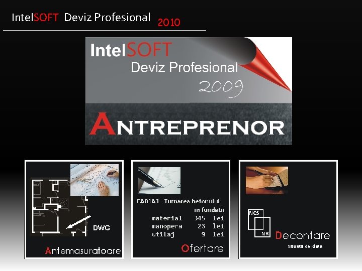 Intel. SOFT Deviz Profesional 2010 