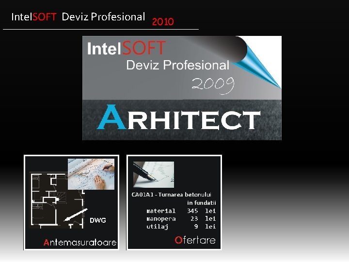 Intel. SOFT Deviz Profesional 2010 