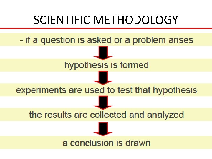 SCIENTIFIC METHODOLOGY 