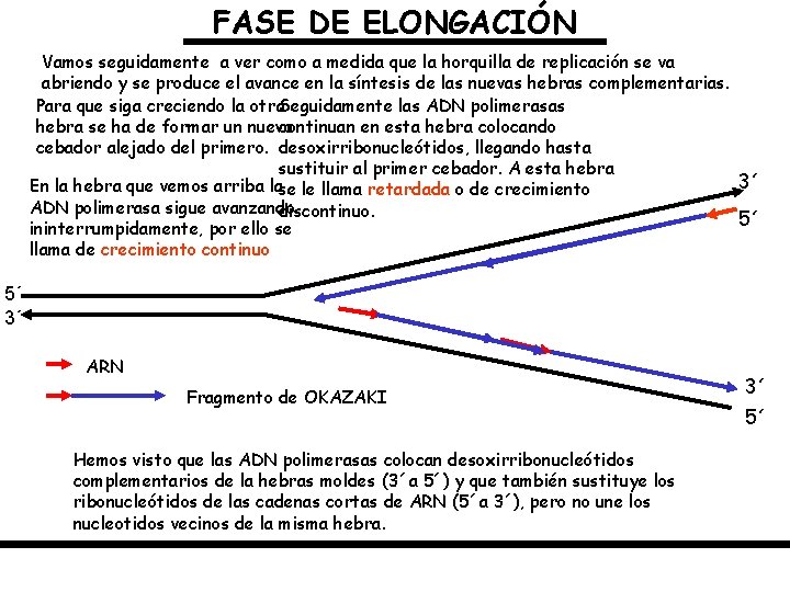 FASE DE ELONGACIÓN Vamos seguidamente a ver como a medida que la horquilla de