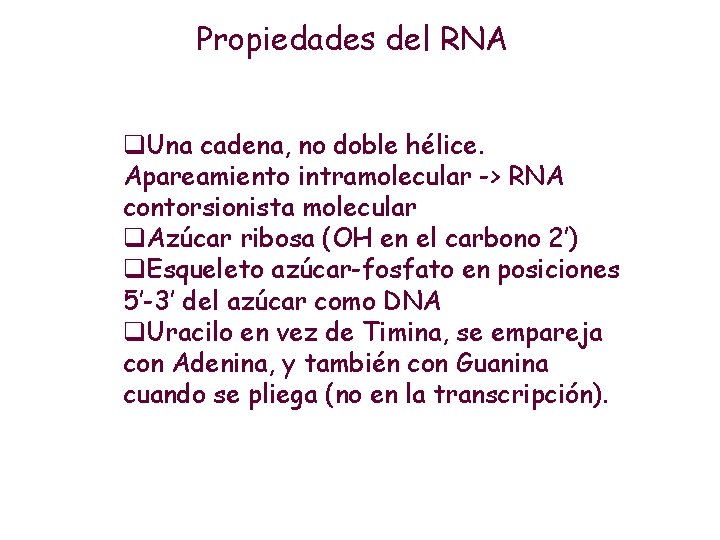 Propiedades del RNA q. Una cadena, no doble hélice. Apareamiento intramolecular -> RNA contorsionista