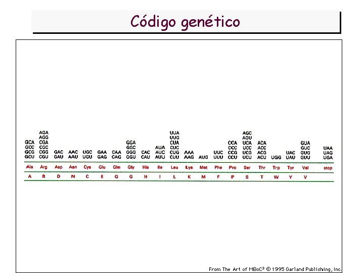 Código genético 