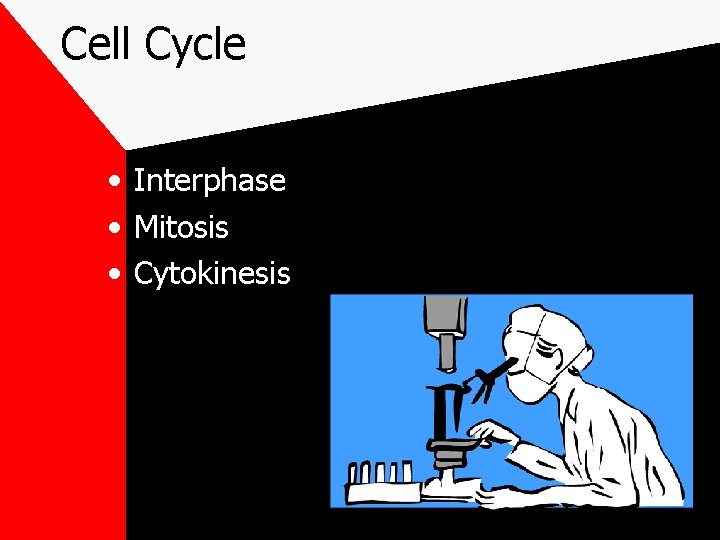 Cell Cycle • Interphase • Mitosis • Cytokinesis 