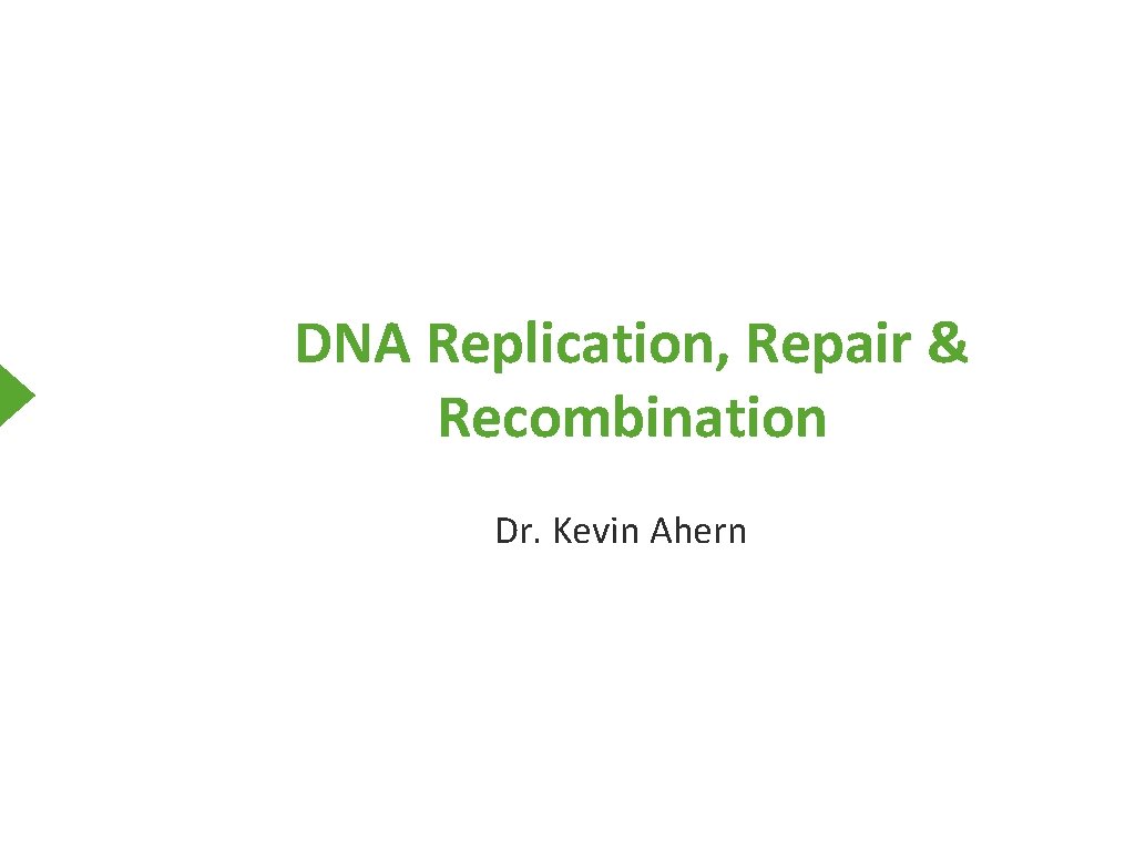 DNA Replication, Repair & Recombination Dr. Kevin Ahern 