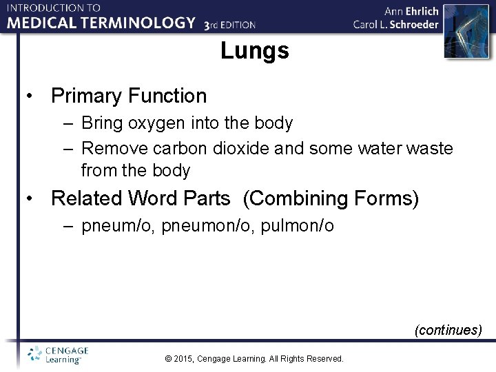 Lungs • Primary Function – Bring oxygen into the body – Remove carbon dioxide