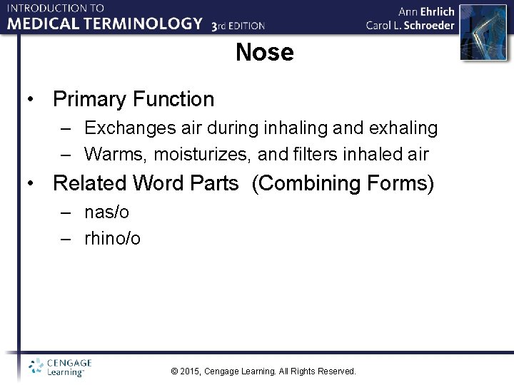 Nose • Primary Function – Exchanges air during inhaling and exhaling – Warms, moisturizes,