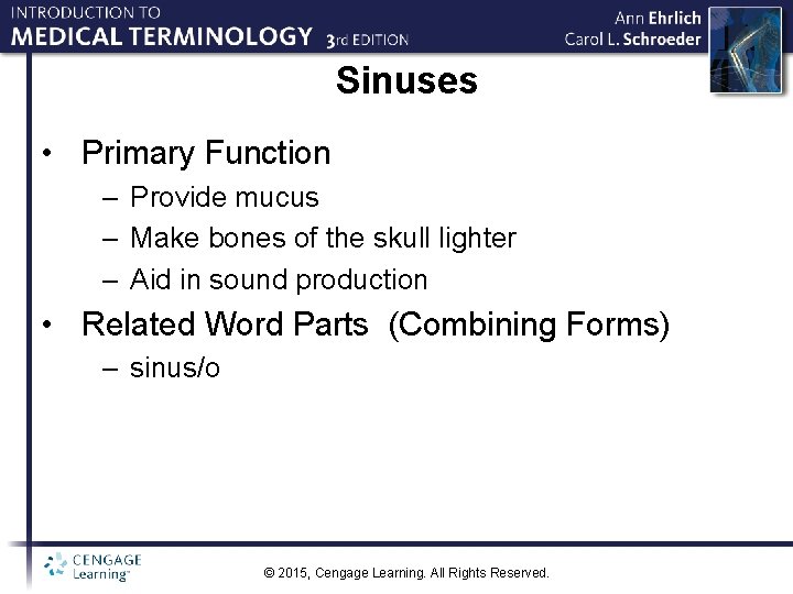 Sinuses • Primary Function – Provide mucus – Make bones of the skull lighter