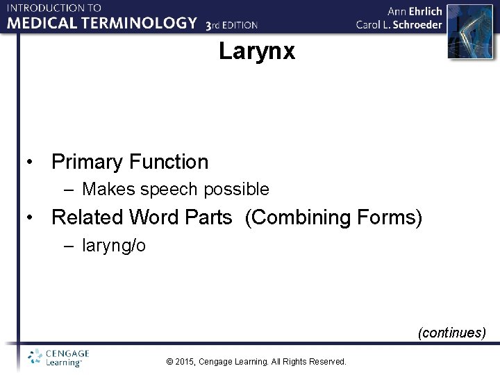 Larynx • Primary Function – Makes speech possible • Related Word Parts (Combining Forms)