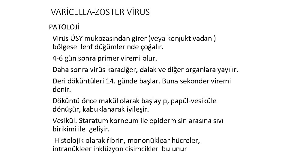 VARİCELLA-ZOSTER VİRUS PATOLOJİ Virüs ÜSY mukozasından girer (veya konjuktivadan ) bölgesel lenf düğümlerinde çoğalır.