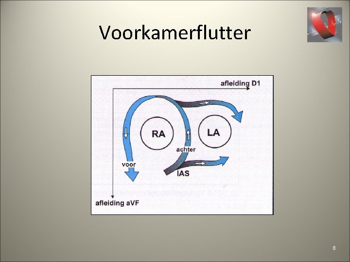 Voorkamerflutter 8 