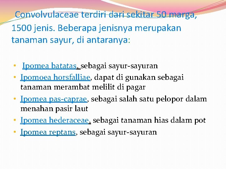 Convolvulaceae terdiri dari sekitar 50 marga, 1500 jenis. Beberapa jenisnya merupakan tanaman sayur, di