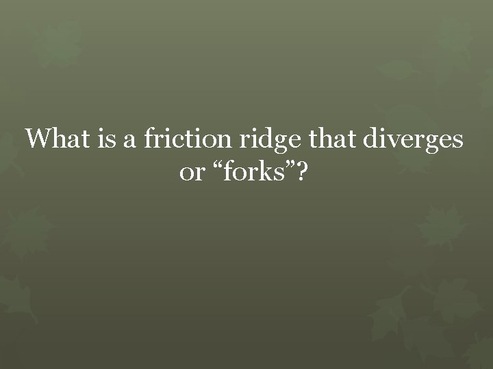 What is a friction ridge that diverges or “forks”? 
