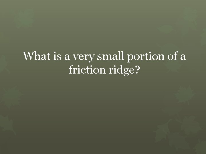 What is a very small portion of a friction ridge? 