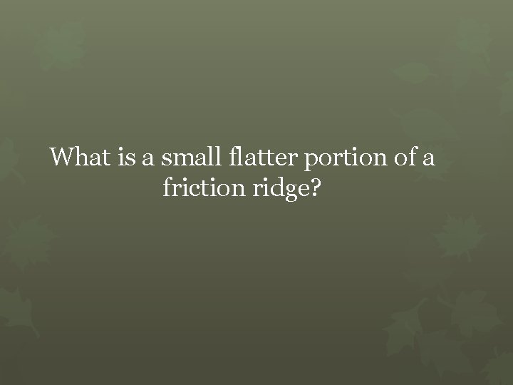 What is a small flatter portion of a friction ridge? 