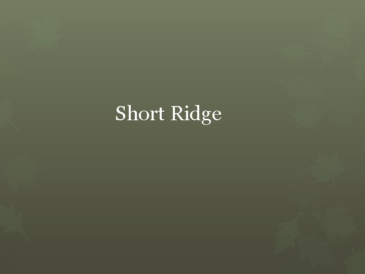 Short Ridge 