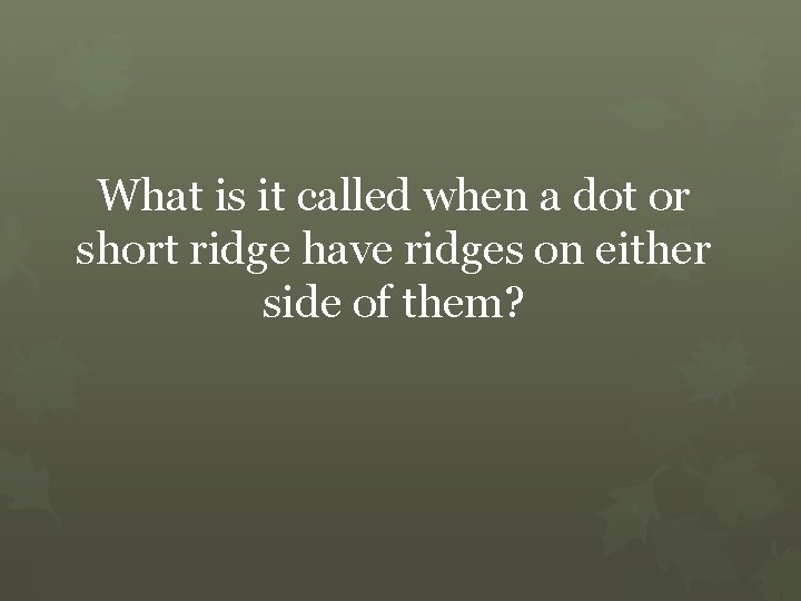 What is it called when a dot or short ridge have ridges on either