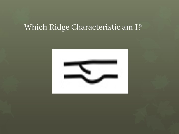 Which Ridge Characteristic am I? 