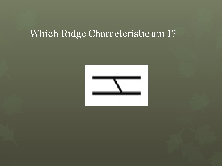 Which Ridge Characteristic am I? 