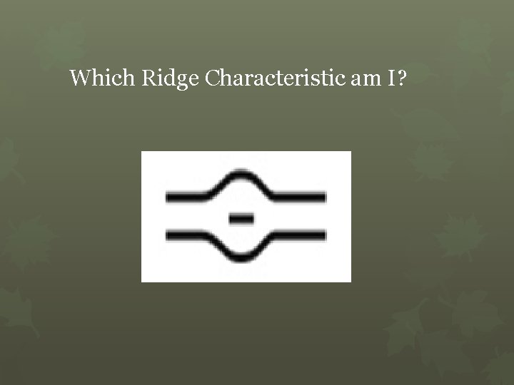 Which Ridge Characteristic am I? 