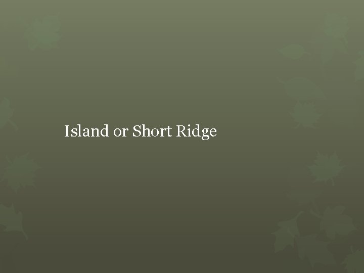 Island or Short Ridge 