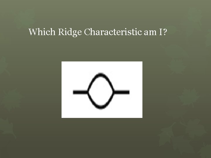 Which Ridge Characteristic am I? 