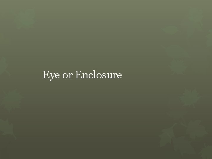 Eye or Enclosure 