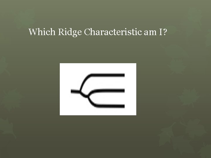 Which Ridge Characteristic am I? 
