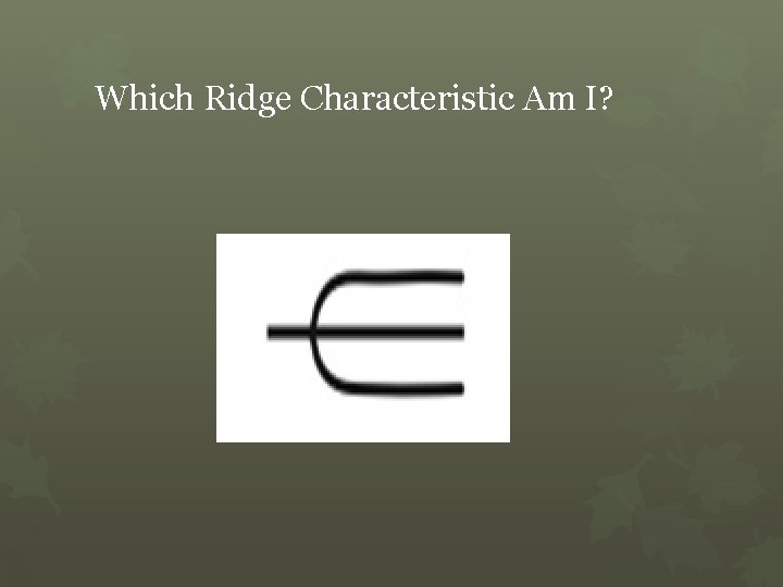 Which Ridge Characteristic Am I? 