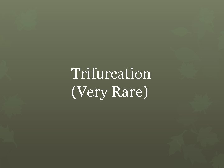 Trifurcation (Very Rare) 