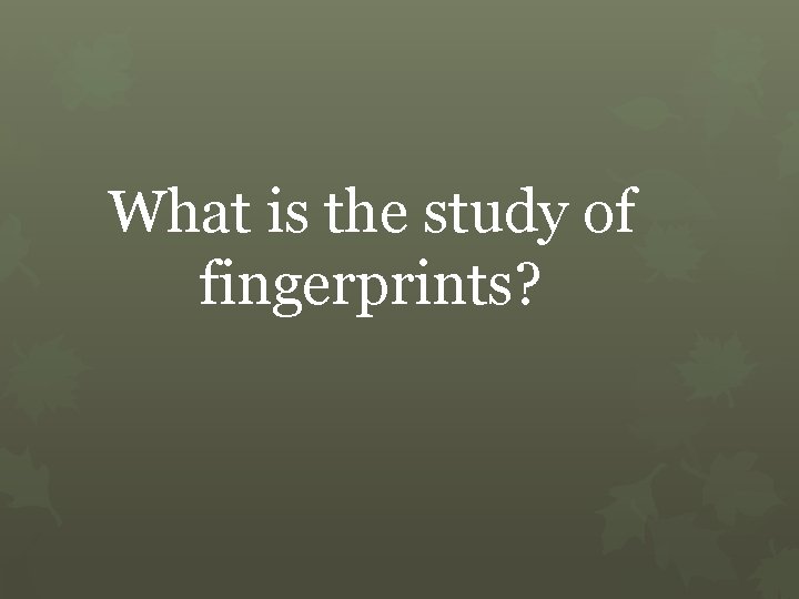 What is the study of fingerprints? 