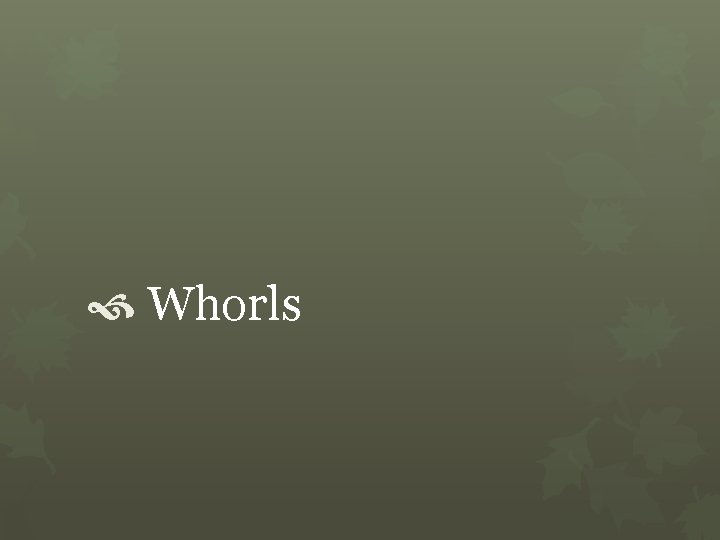  Whorls 