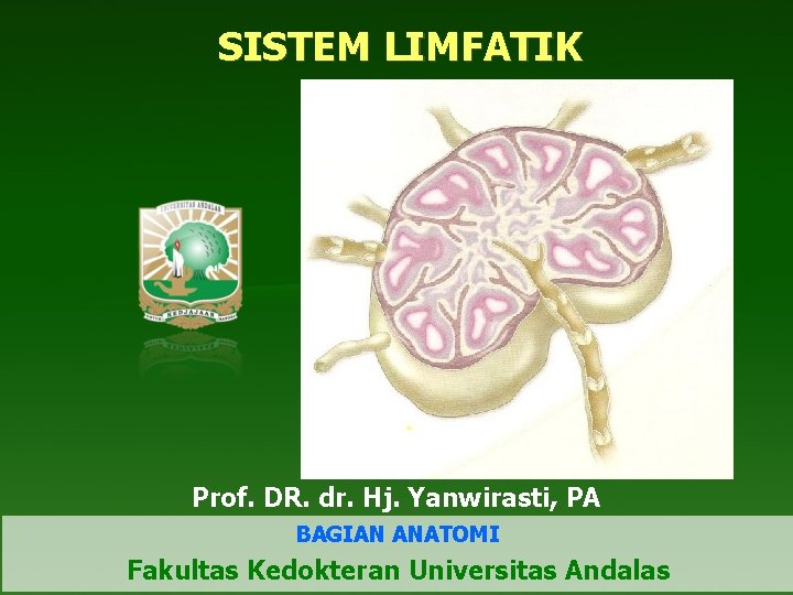 SISTEM LIMFATIK Prof. DR. dr. Hj. Yanwirasti, PA BAGIAN ANATOMI Fakultas Kedokteran Universitas Andalas