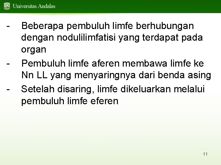 - - Beberapa pembuluh limfe berhubungan dengan nodulilimfatisi yang terdapat pada organ Pembuluh limfe