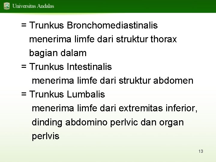 = Trunkus Bronchomediastinalis menerima limfe dari struktur thorax bagian dalam = Trunkus Intestinalis menerima