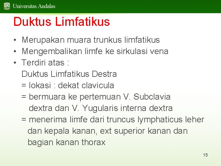Duktus Limfatikus • Merupakan muara trunkus limfatikus • Mengembalikan limfe ke sirkulasi vena •